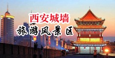 男生裸JJ射精网站中国陕西-西安城墙旅游风景区