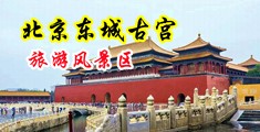黄色视频操老外中国北京-东城古宫旅游风景区